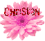 Pink Flower - Christan