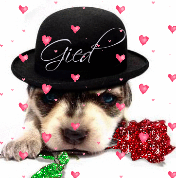 Puppy wearing hat (glitter rose & floating hearts)- Gied
