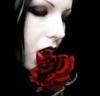 Vampire/bleeding rose