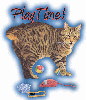 Playtime Cat