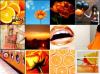Orange Collage