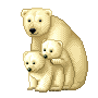 cute polar bear