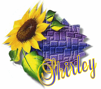 Shirley