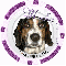 basset hound purple poker chip mocha