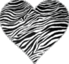 zebra heart