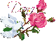 White dove pink roses - Dana