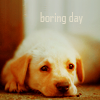 boring day