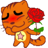 cat & red rose