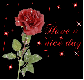 Rose-Have a nice day