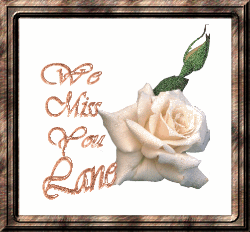 Lane