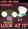 Gir Look at the Monkey!