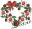Apple wreath with name Diane