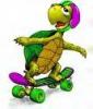 Skate Boarding Turtle