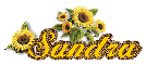 Sandra sunflowers