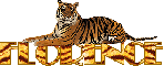 tiger name-florence