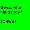 Ninjas say SCHWA!