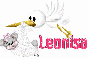 Stork (Leonisa)