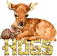 Deer Hugs