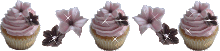 Mini Cupcakes Divider