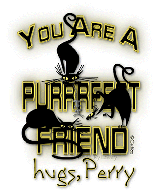 PERRY Purfect Friend 3 BlackCats