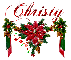 Christy Christmas Poinsettia