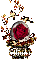 roses name-Glinda