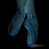 negative colored pointe shoes