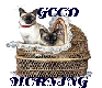 TWO CATS IN BASSINET