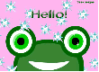 Frog Hello