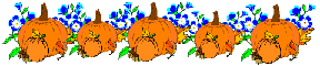 pumkins with blue flowers