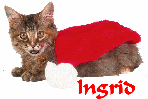 Cat with santa cap Ingrid