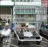 huge shopping cart