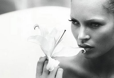 kate moss