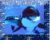 Random Picture My frined Made, Orcas