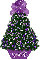 purple mismis tree, perry
