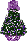 purple mismis tree,  Evelyn
