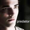 Predator (Edward)