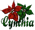 Christmas flowers Cynthia
