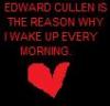 Edward Cullen luvr