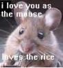 mouse loves rice