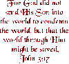 Bible Scripture John 3:17