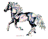 horse11