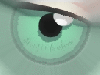 eye of sakura
