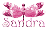 pink dragonfly sandra