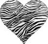 scene,heart,zebra