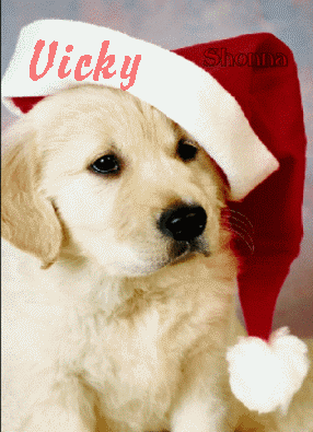 Vicky Puppy