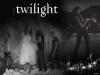 Twilight - Edward, Bella, James and Victoria