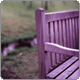 Purple bench - cyworld