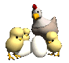 Chicken With Chicks 