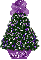 purple mismis tree, GiGi